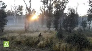 Weed Control Post Fire - Quoll Headquarters