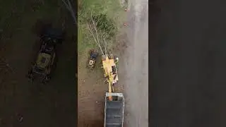 #arboristlife #treecare #arborist #adventure