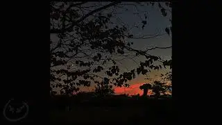 DOWNFALLHILL III - nonverbal | DOWNFALLPAT! (OFFICAL AUDIO) [Michael Harrison]