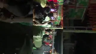 aruha rany panda