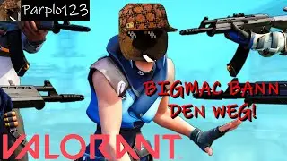 Best of Parplo 123 | VALORANT #1 | Stream Highlights
