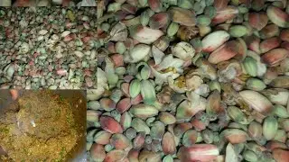 Sohanjna Matar Recipe | سوہانجنہ اور مٹر کی مزیدار گھریلو ریسپی