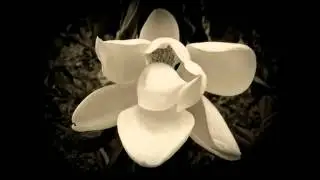 Someone to Watch Over Me - Arynne Sherouse