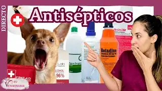 Botiqu&iacute;n para tu Mascota (Ep. 3): Antis&eacute;pticos