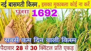 बासमती 1692 No.1 नई किस्म जानकारी। पैदावार 28 से 30 क्विंटल प्रति एकड़ Pusa basmati 1692 new variety