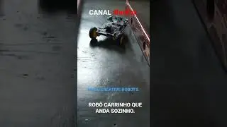 Make Creative Robots: Rob&ocirc; Carrinho que anda sozinho.