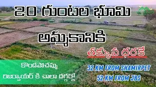 20 Guntas land for sale | Farmland | agriculture land | Property for sale | land for sale
