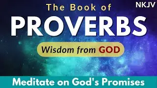 BOOK OF PROVERBS (NKJV) | Wisdom of God for Deep Sleep & Meditation | Relaxing Sound of Rain