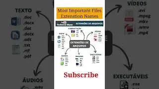 most important files extension names