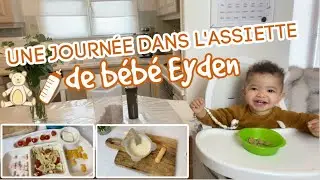 🍼 UNE JOURNÉE DANS L’ASSIETTE D’UN BÉBÉ DE 16 MOIS 👶🏻