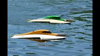 Racing Hydro Plane RC Boats!!