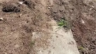 Building a community park. We get to start from the ground and build up. What a cool opportunity.