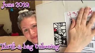 June 2019 Thrift A Bag unboxing!