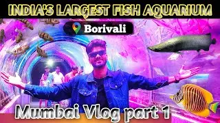 Fish aquarium borivali East Mumbai by@wasimakhtarvlogss @ArbaazVlogs