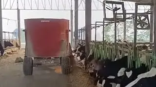 Param Sukh dairy farm is live