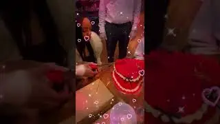 Capricorn season my niece&rsquo;s, 17th birthday