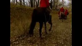 The Great March West.mp4