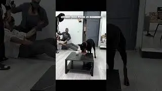 Others dog food vs robbers☠️ #edit #troll #trollface #usa #dog