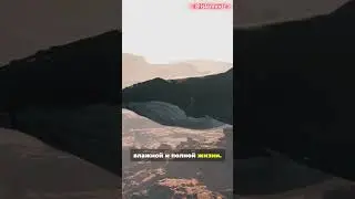 A whale confirming a miracle?