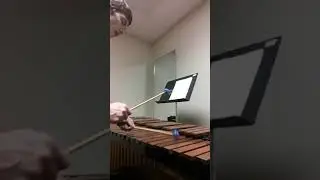 Mallet Percussion Etude.