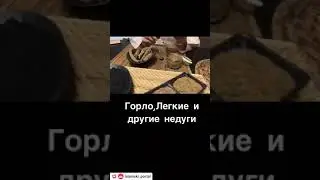 Кыст аль хинди польза и вред