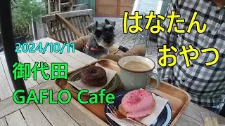 御代田 GAFLO Cafe、素敵なテラス