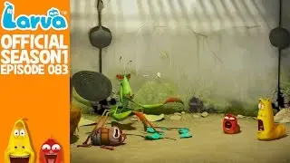 [Official]  Mantis - Larva Season 1 Episode 83