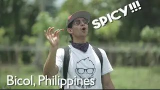 The Spiciest Food in the Philippines! (Bicol Foodtrip)