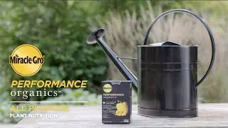 How to Use Miracle-Gro&reg; Performance Organics&trade; All Purpose Plant Nutrition