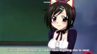 Sora no Otoshimono - Cats in Home Economics