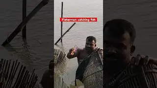 Fisherman catching fish in river Ganga #shorts