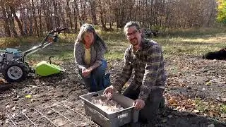 Growing and Processing Hardneck Garlic