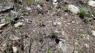 Absaroka Beartooth Wilderness.