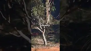 The World's Deadliest Plant: Beware! #ToxicTree #DangerousPlants #NatureWarning #ManchineelTree
