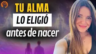 C&oacute;mo reconocer a tu Familia &Aacute;lmica | Gu&iacute;a de Casandra de Juan