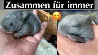 NESTKONTROLLEN Tag13&10/zwei Babys ein Haushalt💙🍀