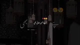Apny Behan Bhai Bhi Apny nae hoty😥😓#shortfeed#urdu #status#whatsappstatus#sister #brother#shorts