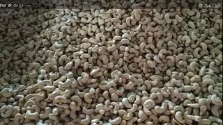 Cashew Mechanisation Factory In Vietnam