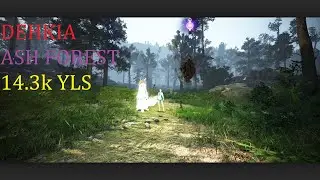 BDO SUCC MAEGU DEHKIA ASH FOREST 14.3k YLS
