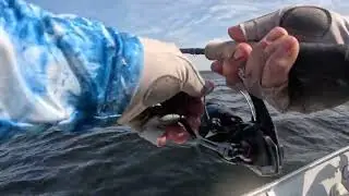 Fishing at Ganglers with AM Fishing