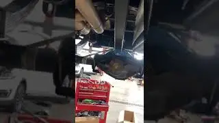 torque arm lt 2