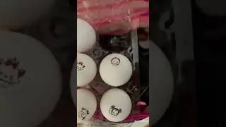 Japan egg packaging. #airabyahera #japan #egg #packaging #disney #tsumtsum
