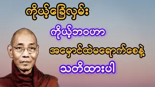    ကိုယ့်ခြေလှမ်း ကိုယ့်ဘဝဟာ အမှောင်ထဲ မရောက်စေနဲ့ သတိထားပါ #ပါချုပ်ဆရာတော်