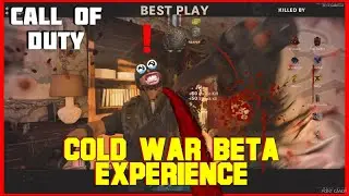 Call of Duty - Cold War Beta.exe