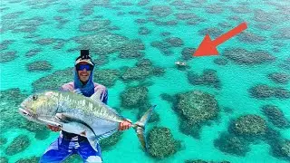 Reef Flats, Lots of Different Species 