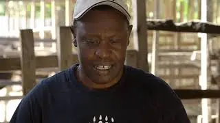 Shamba Shape Up Sn 9 - Ep 8: Tree Tomatoes, Insurance, Spinach (English)