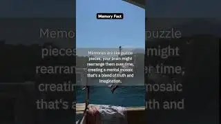 Unbelievable Memory Facts That Will Blow Your Mind! 🧠💡