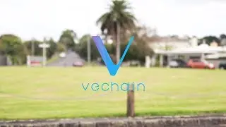 VeChain - Let's Discover VeChain Thor