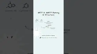 #DNA synthesis #NEET|Life science