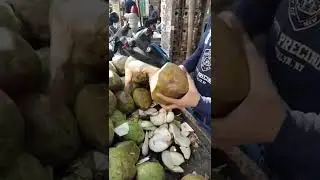 Most Hygiene Coconut Water of India  #shorts #ytshorts #reels #activeworld #coconut #water